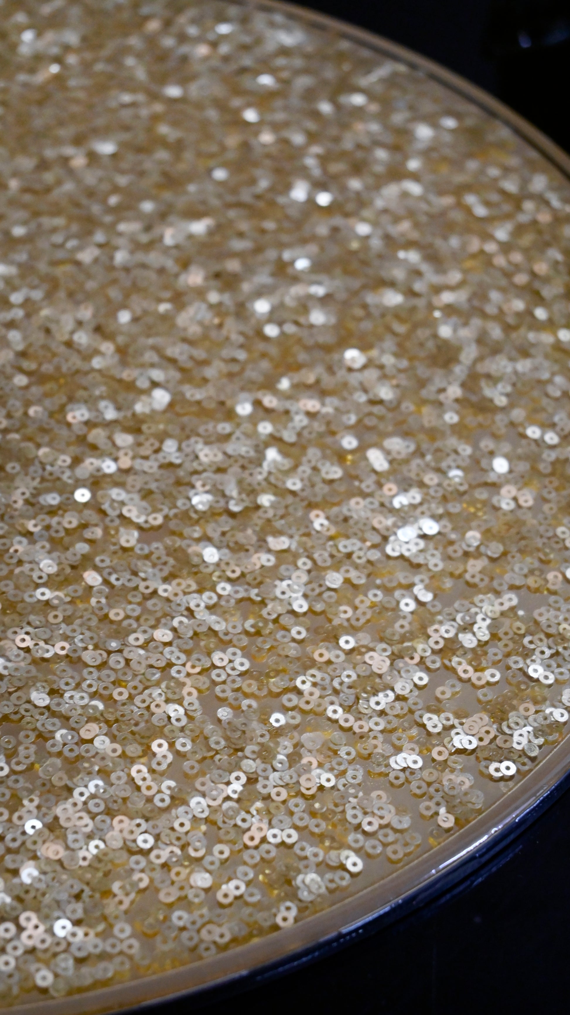 Full Gold Sequin Placemat The Bling Edit